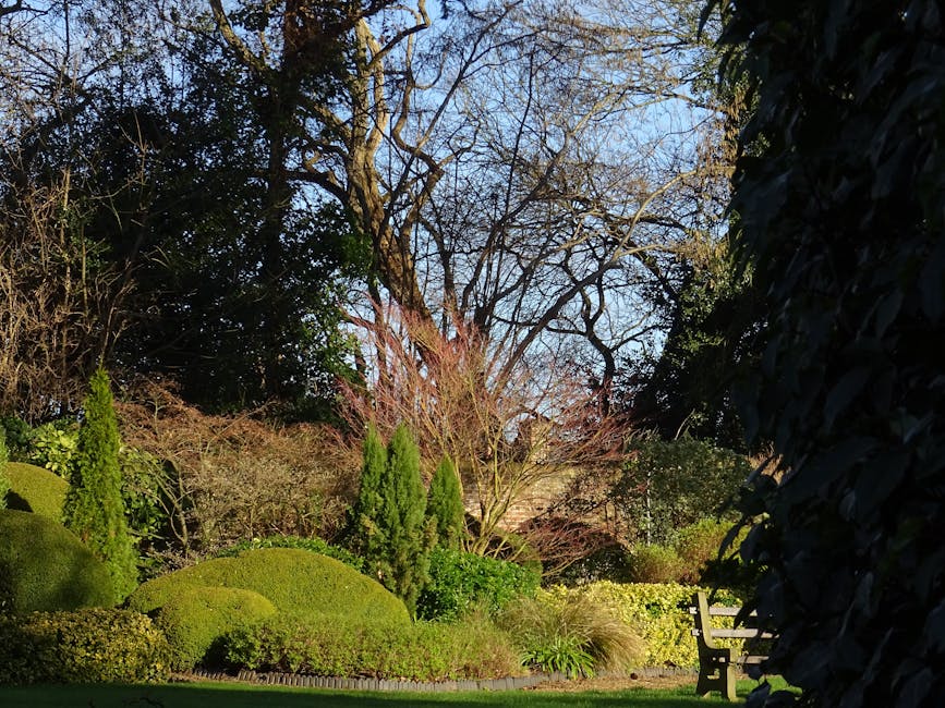 A well-maintained garden scene featuring a variety of lush, green plants and trees. In the foreground, neatly trimmed grass surrounds garden beds with rounded topiary bushes and tall, slender conifers
